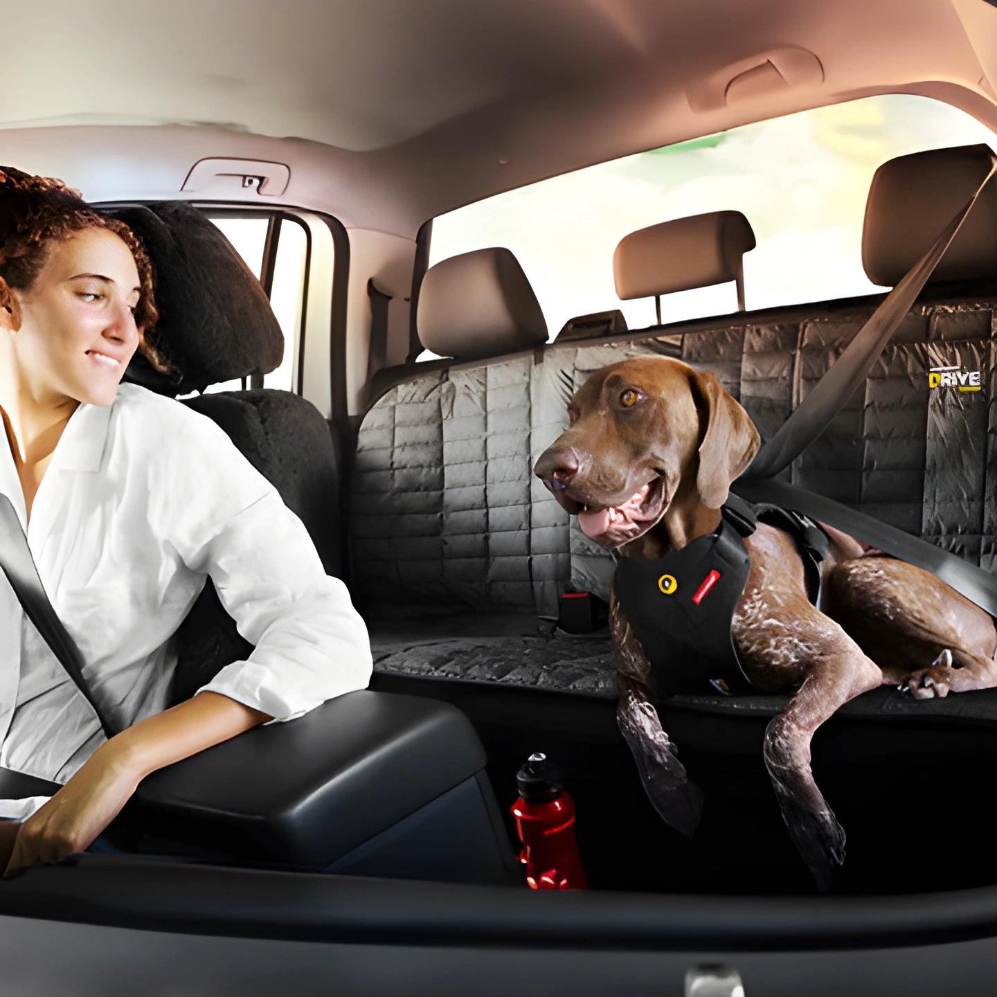 WoofyRide™ Pet Seat Cover